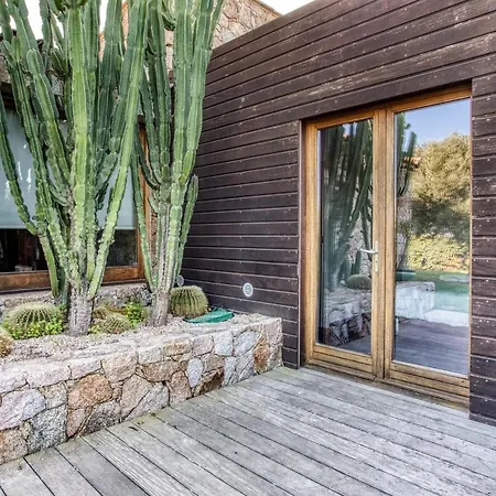 فيلة Stella لوميو